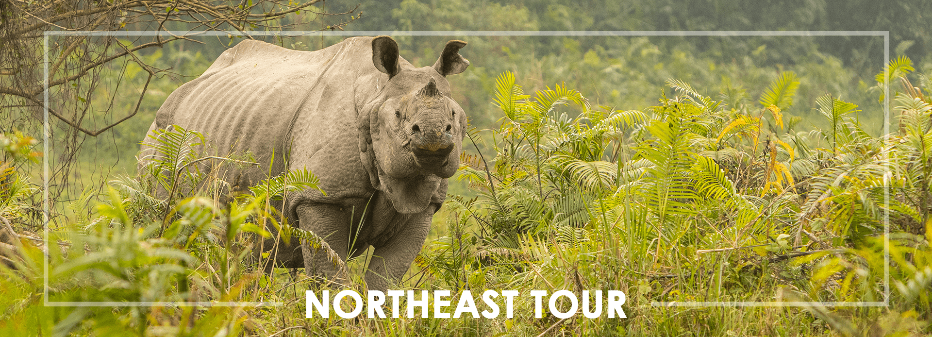 Northeast Tour Packages