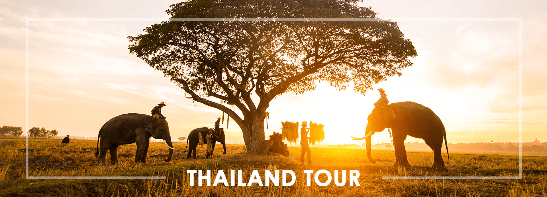Thailand Tour Packages