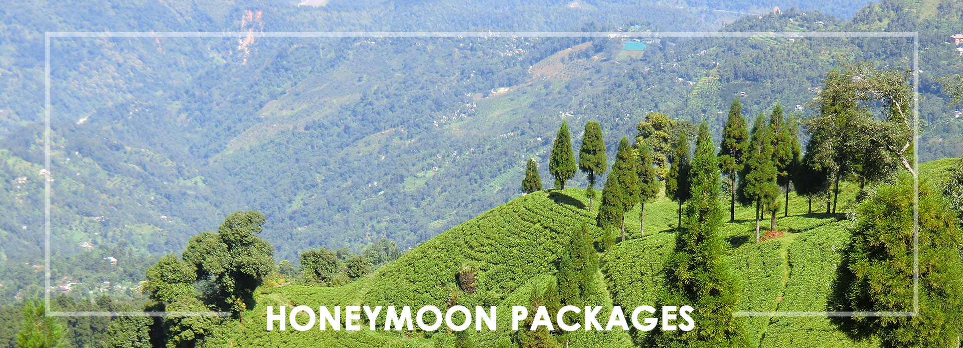  Honeymoon Packages