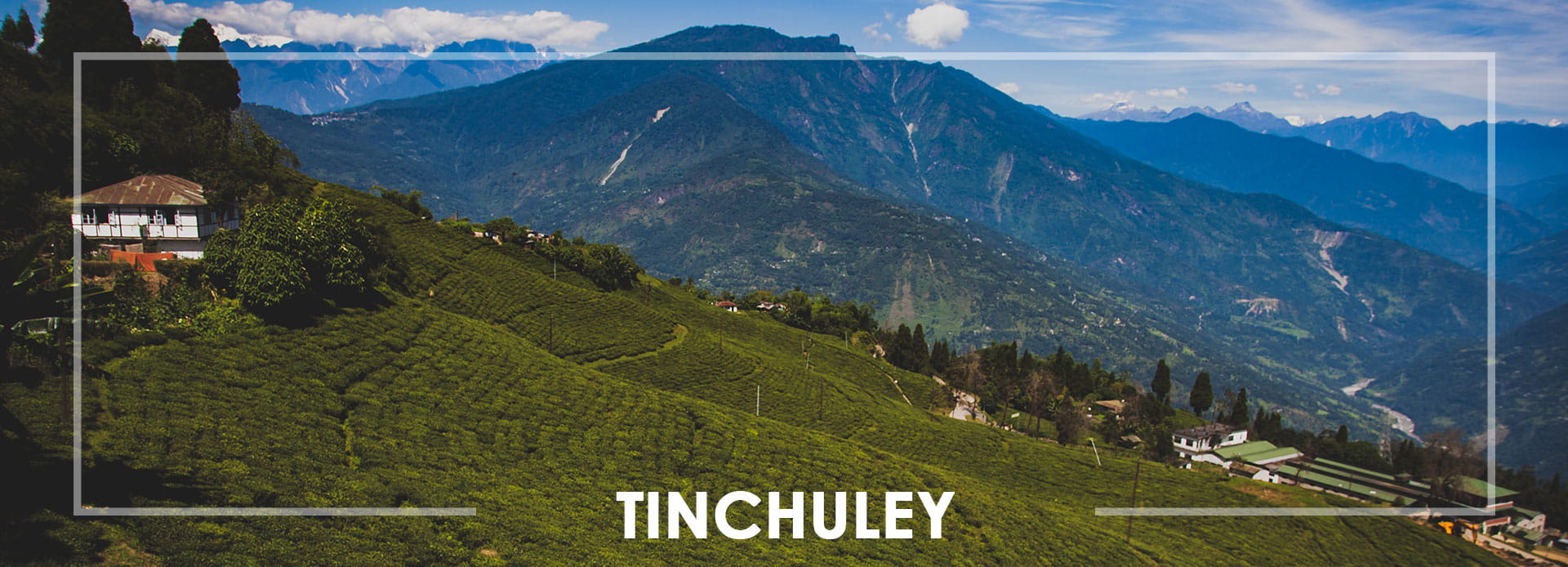  Tinchuley
