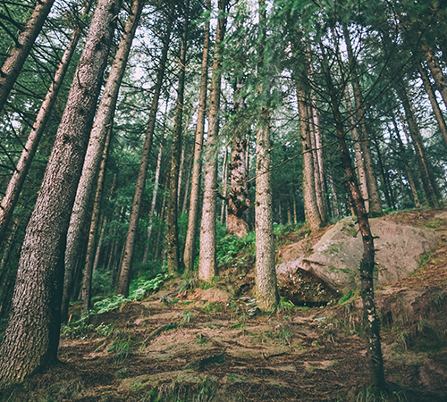 Manali Kasol Tour Package with Visit to Hot Water Springs of Manikaran