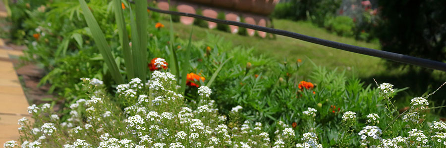 Botanical Gardens and Flower Show Botanical Gardens and Flower Show