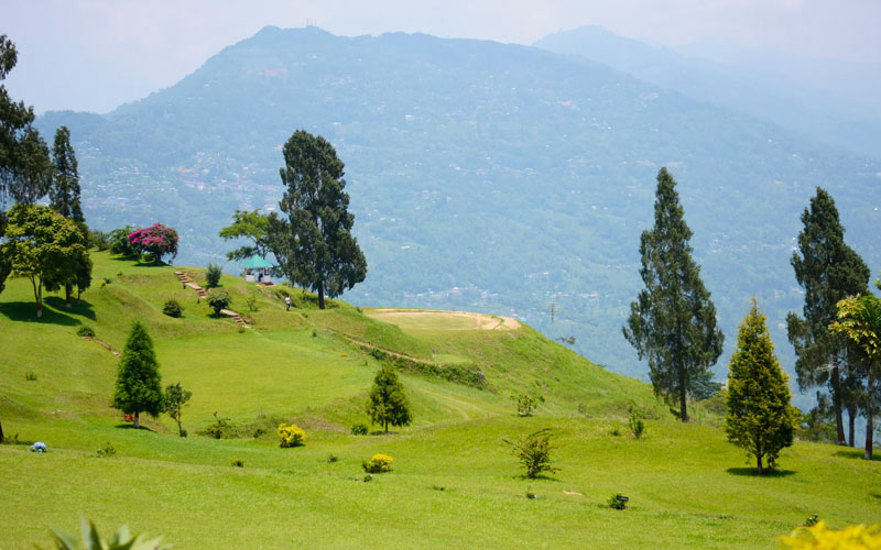 Take a stroll around the Tea Gardens Take a stroll around the Tea Gardens